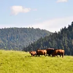 بيت ضيافة Vogtsmichelhof - Leibgeding 3*