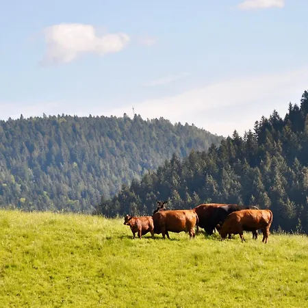 招待所 Vogtsmichelhof - Leibgeding 3*