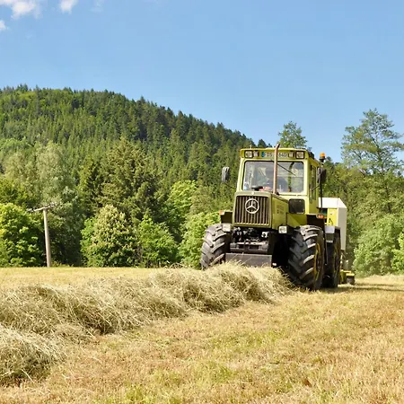 Vogtsmichelhof - Leibgeding 招待所 阿皮斯班奇