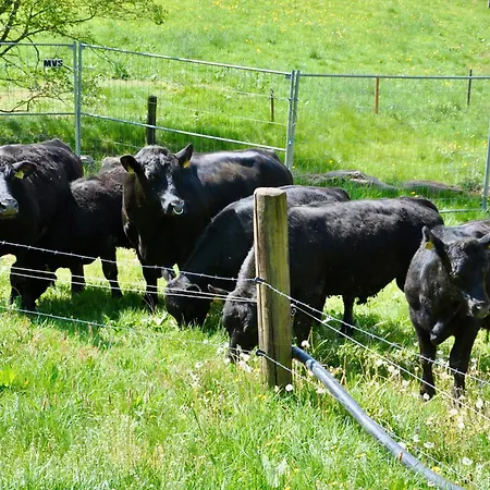 Vogtsmichelhof - Leibgeding * Alpirsbach