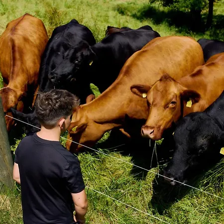 招待所 Vogtsmichelhof - Leibgeding 3*