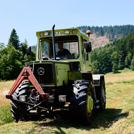 Vogtsmichelhof - Leibgeding 招待所 阿皮斯班奇