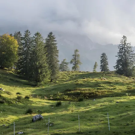 Vogtsmichelhof - Leibgeding Alpirsbach